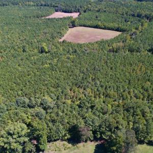 Photo #12 of SOLD property in Off Old Macon Highway, Macon, NC 9.2 acres