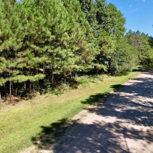 Photo #18 of SOLD property in Off Old Macon Highway, Macon, NC 9.2 acres