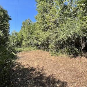 Photo #22 of SOLD property in Off Old Macon Highway, Macon, NC 9.2 acres