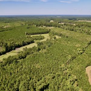 Photo #4 of SOLD property in Off Old Macon Highway, Macon, NC 9.2 acres
