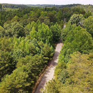 Photo #14 of 189 Hamlet Hills Drive, Reidsville, NC 3.9 acres