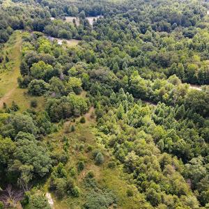 Photo #9 of 189 Hamlet Hills Drive, Reidsville, NC 3.9 acres