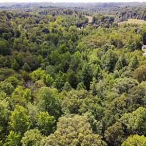 Photo #11 of 189 Hamlet Hills Drive, Reidsville, NC 3.9 acres