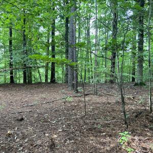 Photo #21 of Off 1307 San Souci Road, Windsor, NC 233.5 acres