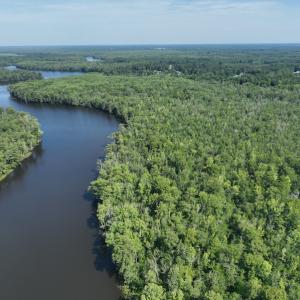Photo #14 of Off 1307 San Souci Road, Windsor, NC 233.5 acres