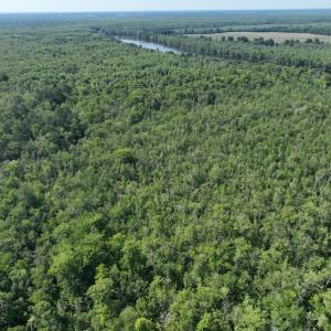 Photo #13 of Off 1307 San Souci Road, Windsor, NC 233.5 acres