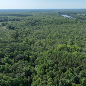 Photo #7 of Off 1307 San Souci Road, Windsor, NC 233.5 acres