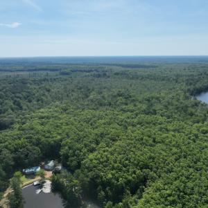 Photo #6 of Off 1307 San Souci Road, Windsor, NC 233.5 acres