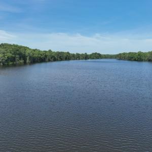 Photo #15 of Off 1307 San Souci Road, Windsor, NC 233.5 acres