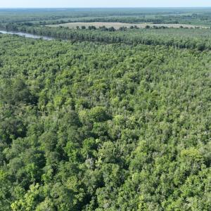 Photo #5 of Off 1307 San Souci Road, Windsor, NC 233.5 acres