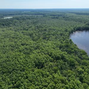 Photo #9 of Off 1307 San Souci Road, Windsor, NC 233.5 acres