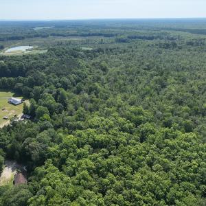 Photo #3 of Off 1307 San Souci Road, Windsor, NC 233.5 acres