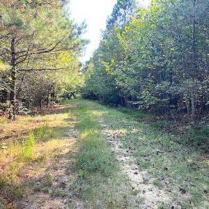 Photo #2 of SOLD property in Off Colonial Trail W, Spring Grove, VA 12.5 acres