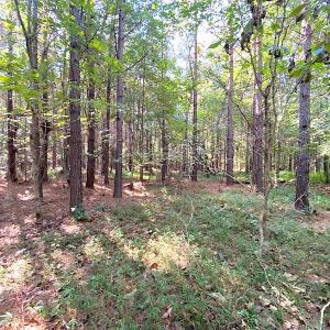 Photo #3 of SOLD property in Off Colonial Trail W, Spring Grove, VA 12.5 acres