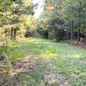 Photo #5 of SOLD property in Off Colonial Trail W, Spring Grove, VA 12.5 acres