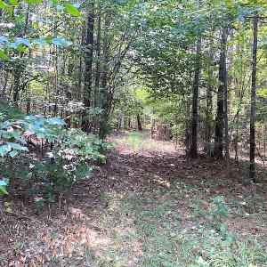 Photo #6 of SOLD property in Off Colonial Trail W, Spring Grove, VA 12.5 acres
