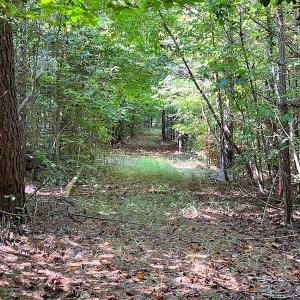 Photo #7 of SOLD property in Off Colonial Trail W, Spring Grove, VA 12.5 acres