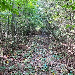 Photo #9 of SOLD property in Off Colonial Trail W, Spring Grove, VA 12.5 acres