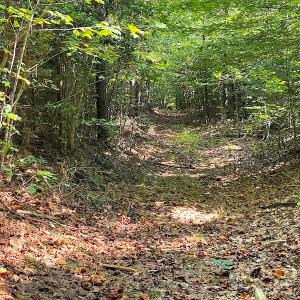 Photo #10 of SOLD property in Off Colonial Trail W, Spring Grove, VA 12.5 acres