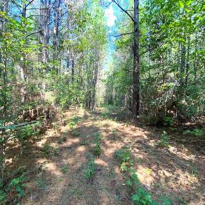 Photo #11 of SOLD property in Off Colonial Trail W, Spring Grove, VA 12.5 acres