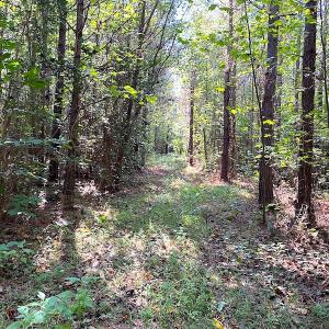 Photo #12 of SOLD property in Off Colonial Trail W, Spring Grove, VA 12.5 acres