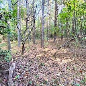 Photo #2 of SOLD property in Off Colonial Trail W, Spring Grove, VA 39.5 acres