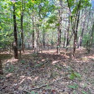 Photo #6 of SOLD property in Off Colonial Trail W, Spring Grove, VA 39.5 acres