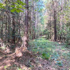 Photo #8 of Off Colonial Trail W, Spring Grove, VA 39.5 acres