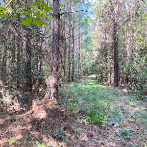 Photo #8 of SOLD property in Off Colonial Trail W, Spring Grove, VA 39.5 acres