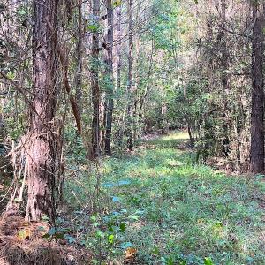 Photo #9 of SOLD property in Off Colonial Trail W, Spring Grove, VA 39.5 acres