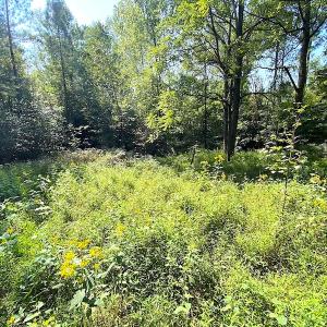 Photo #10 of SOLD property in Off Colonial Trail W, Spring Grove, VA 39.5 acres