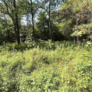 Photo #11 of SOLD property in Off Colonial Trail W, Spring Grove, VA 39.5 acres
