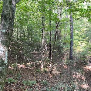Photo #13 of SOLD property in Off Colonial Trail W, Spring Grove, VA 39.5 acres