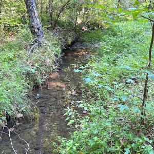 Photo #14 of SOLD property in Off Colonial Trail W, Spring Grove, VA 39.5 acres
