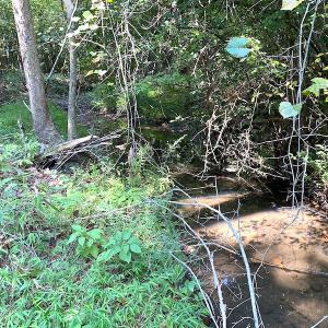 Photo #15 of SOLD property in Off Colonial Trail W, Spring Grove, VA 39.5 acres