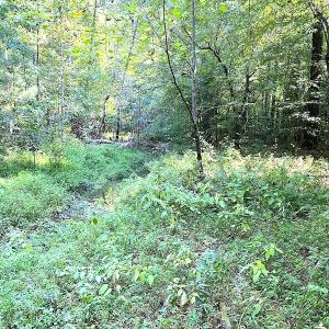 Photo #16 of SOLD property in Off Colonial Trail W, Spring Grove, VA 39.5 acres