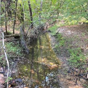 Photo #17 of SOLD property in Off Colonial Trail W, Spring Grove, VA 39.5 acres