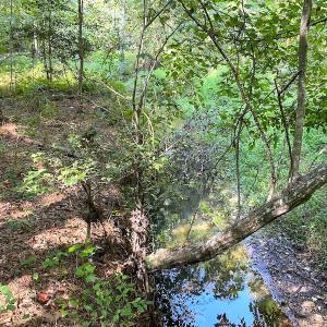 Photo #18 of SOLD property in Off Colonial Trail W, Spring Grove, VA 39.5 acres