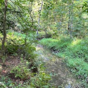 Photo #19 of SOLD property in Off Colonial Trail W, Spring Grove, VA 39.5 acres
