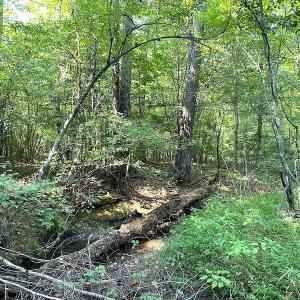 Photo #21 of SOLD property in Off Colonial Trail W, Spring Grove, VA 39.5 acres