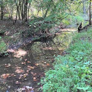 Photo #22 of SOLD property in Off Colonial Trail W, Spring Grove, VA 39.5 acres