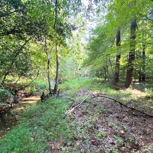 Photo #23 of SOLD property in Off Colonial Trail W, Spring Grove, VA 39.5 acres