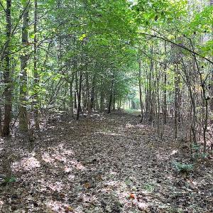 Photo #24 of Off Colonial Trail W, Spring Grove, VA 39.5 acres