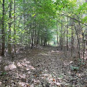 Photo #24 of SOLD property in Off Colonial Trail W, Spring Grove, VA 39.5 acres