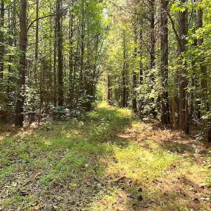 Photo #25 of SOLD property in Off Colonial Trail W, Spring Grove, VA 39.5 acres