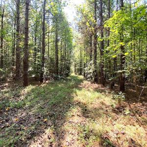 Photo #26 of SOLD property in Off Colonial Trail W, Spring Grove, VA 39.5 acres