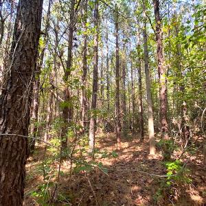 Photo #28 of SOLD property in Off Colonial Trail W, Spring Grove, VA 39.5 acres