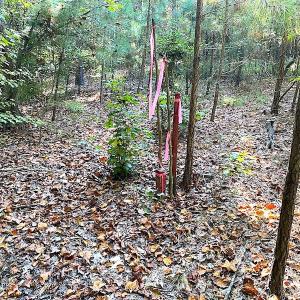 Photo #33 of SOLD property in Off Colonial Trail W, Spring Grove, VA 39.5 acres