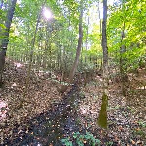 Photo #34 of Off Colonial Trail W, Spring Grove, VA 39.5 acres