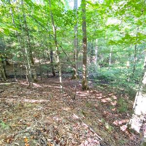 Photo #36 of SOLD property in Off Colonial Trail W, Spring Grove, VA 39.5 acres